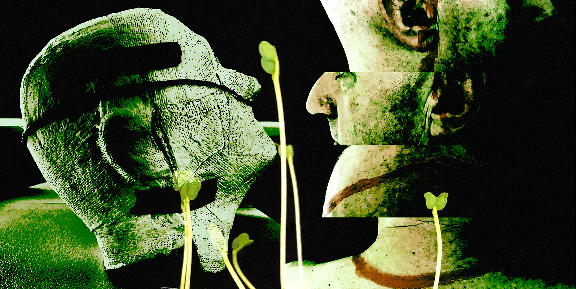 Cultivating Seeds