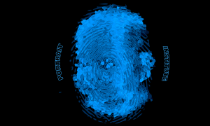 Portrait Institute Identity Image: Visualising Identity Through Traces © Eleanor Gates-Stuart. All Rights Reserved. Master Archive: https://doi.org/10.5281/zenodo.20698169 Viewer: https://doi.org/10.6084/m9.figshare.32790585