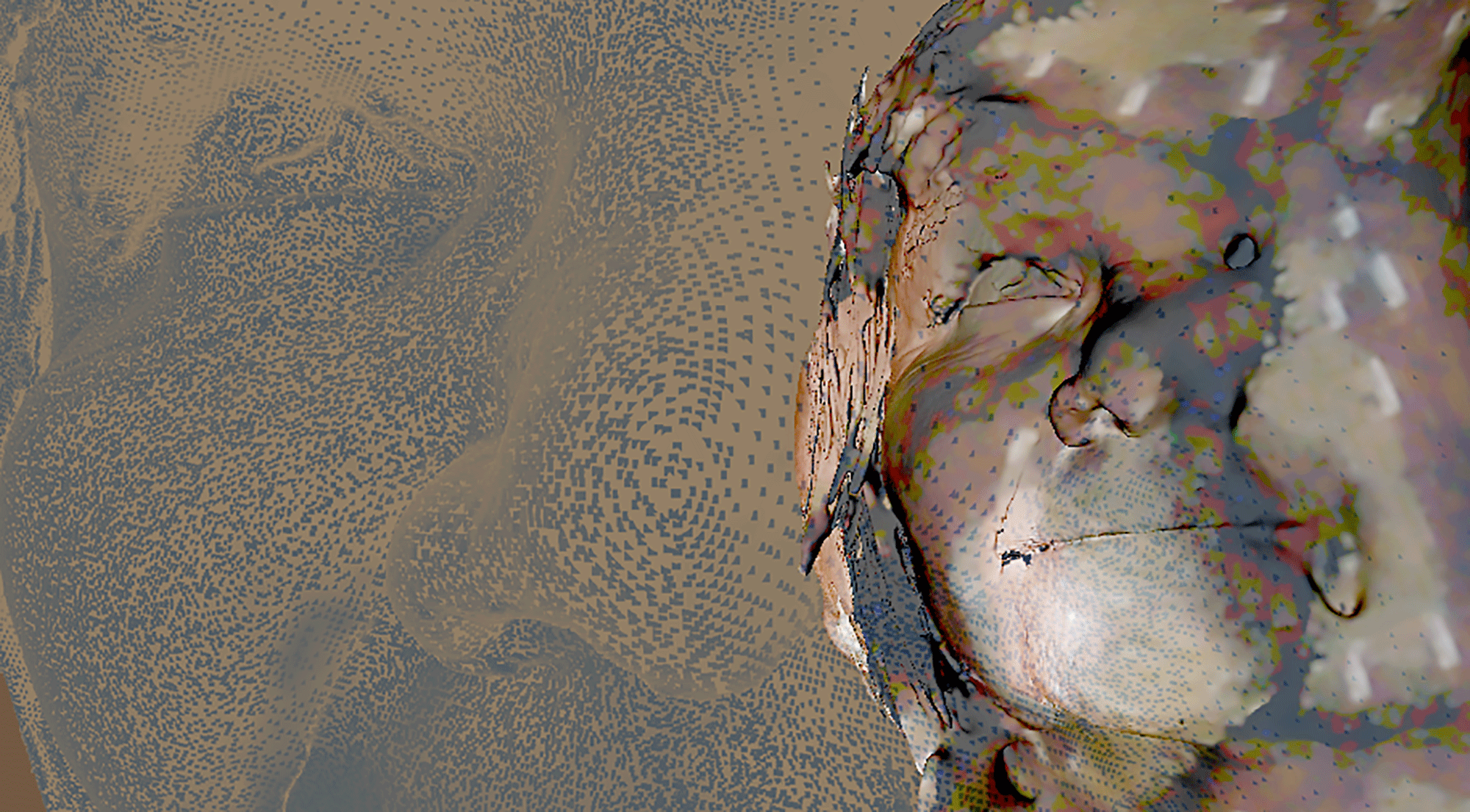 Facial Recognition